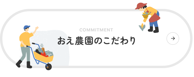 bnrhalf_commitment_off