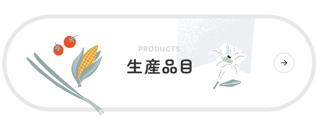 bnrhalf_products_off